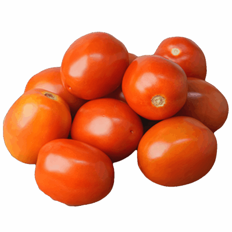 Tomato
