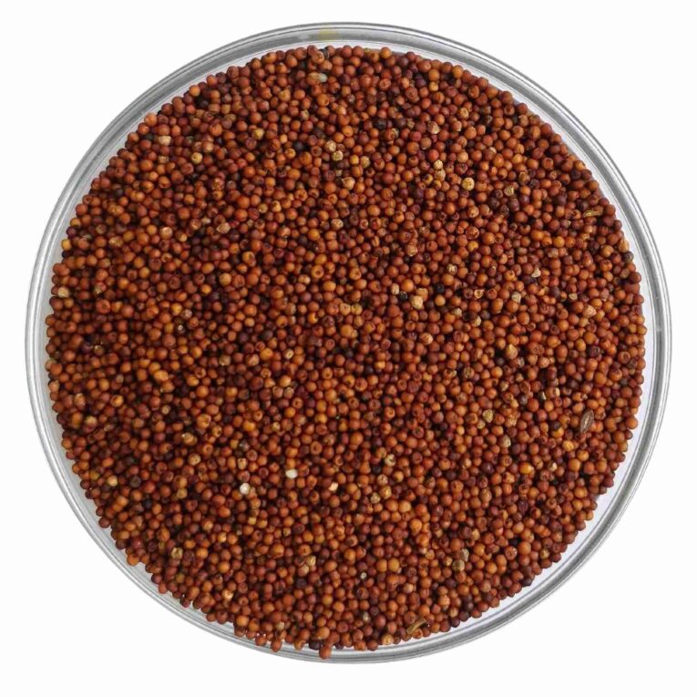 Finger Millet